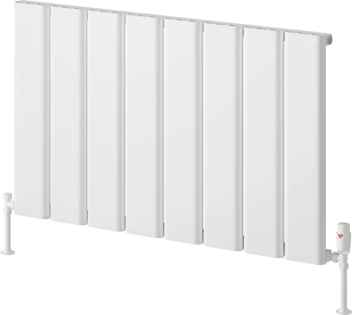 Reina Caldaro A-CDR060099W White Horizontal Radiator 995mm x 600mm
